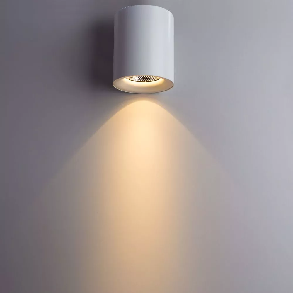 Точечный накладной светильник Arte Lamp FACILE A5130PL-1WH