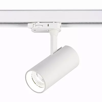 Трековый светильник Белый LED 165-265V St Luce ST661.546.10