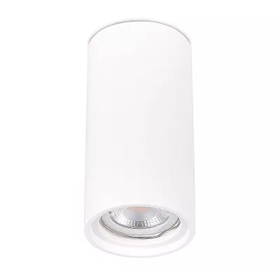 Точечный накладной светильник Белый GU10 180-240V St Luce ST155.502.01