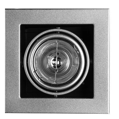 Точечный встраиваемый светильник Arte Lamp CARDANI MEDIO A5930PL-1SI