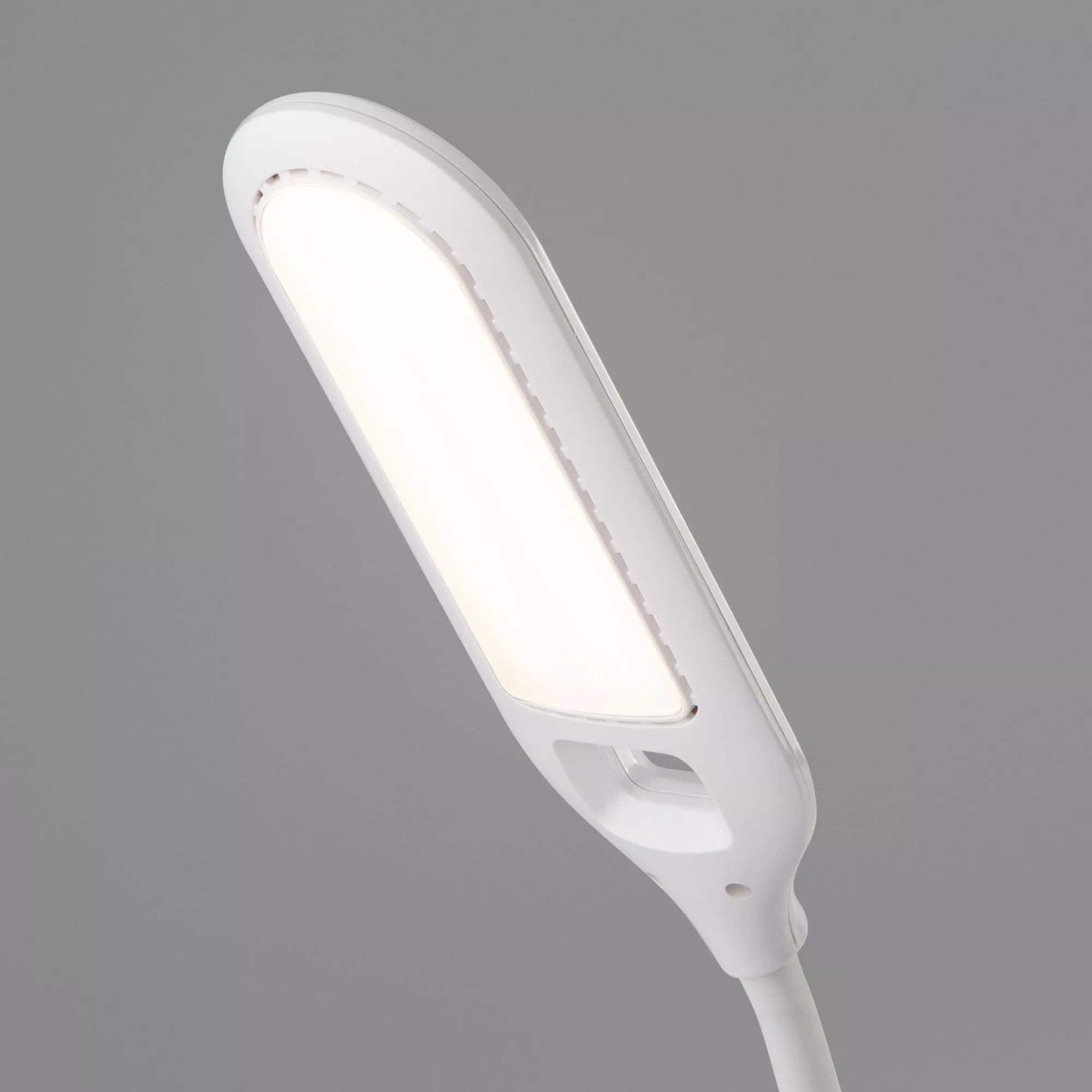 Лампа настольная Eurosvet Soft 80503/1 белый