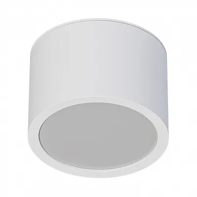 Точечный накладной светильник ARTE LAMP INTERCRUS A5543PL-1WH