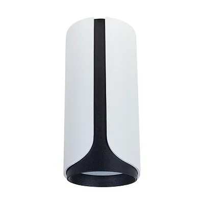 Точечный накладной светильник ARTE LAMP PINO A7376PL-1WH