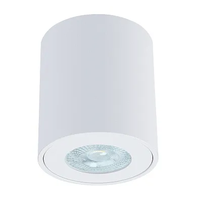 Точечный накладной светильник ARTE LAMP TINO A1469PL-1WH