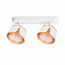 Спот потолочный ARTE LAMP AMAKS A8028PL-2WH