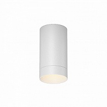 Уличный потолочный светильник Maytoni Luxe / Люксе O500CL-L5W3K