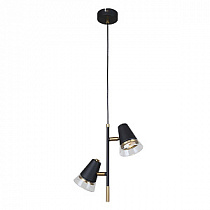 Подвесной светильник F-Promo Trandy 4618-2P