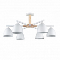 Люстра на штанге LUMION COLANGE 8095/6C