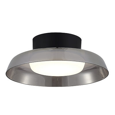 Потолочный светильник ST LUCE FORAY / ФОРЕЙ SL6019.412.01