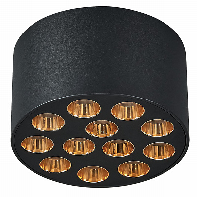 Точечный накладной светильник Lightstar Guarda 080942