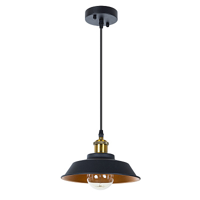 Подвесной светильник ARTE LAMP CAPPELLO A7038SP-1BK