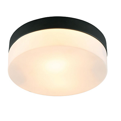 Потолочный светильник Arte Lamp AQUA-TABLET A6047PL-2BK