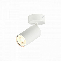 Спот потолочный ST LUCE DARIO / ДАРИО ST303.502.01