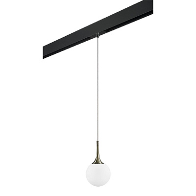 Трековый светильник Lightstar Globo PRO813011
