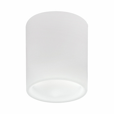 Точечный накладной светильник Lightstar Solido E27 216626